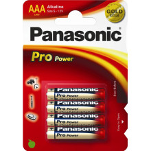 Relags Panasonic Batterie