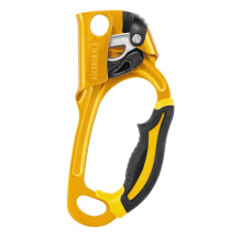 Petzl Ascension R