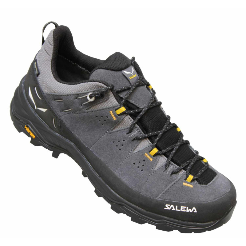 Salewa Alp Trainer Low GTX